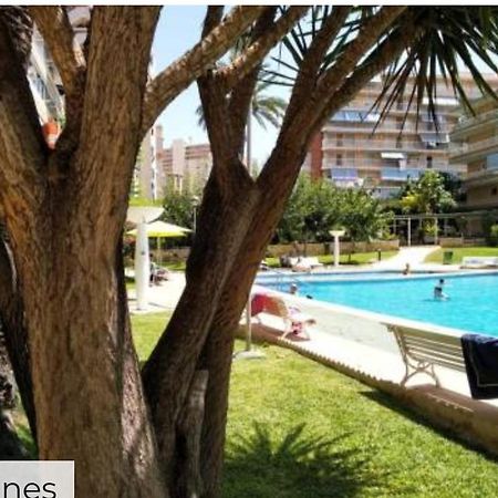 Apartamento Entero En La Playa San Juan Benacantil アリカンテ エクステリア 写真