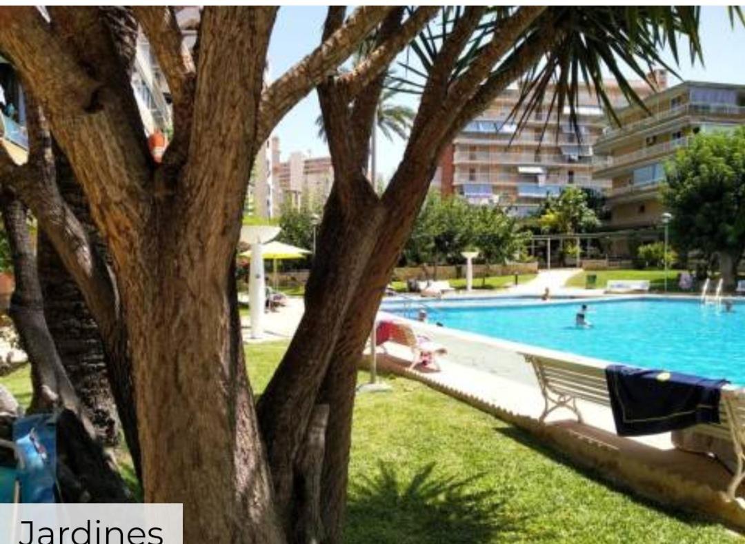 Apartamento Entero En La Playa San Juan Benacantil アリカンテ エクステリア 写真