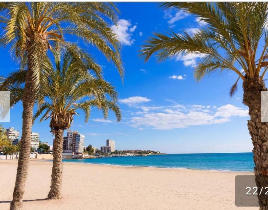 Apartamento Entero En La Playa San Juan Benacantil アリカンテ エクステリア 写真